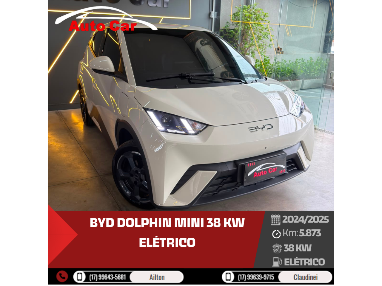 Dolphin Mini 38 KW ELÉTRICO