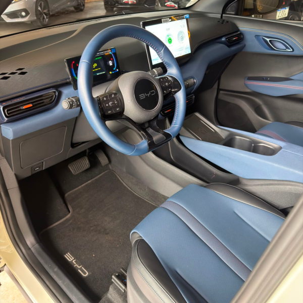 BYD Dolphin Mini 38 KW ELÉTRICO