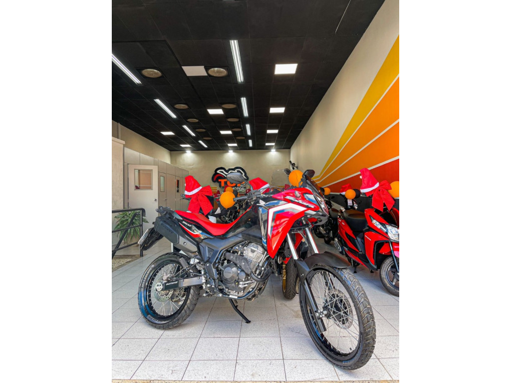 HONDA XRE 300 Sahara RALLYE