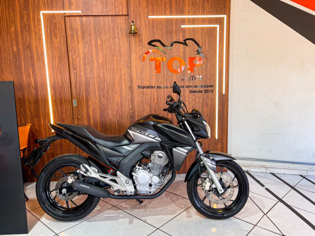 CB 250 F Twister FLEXONE