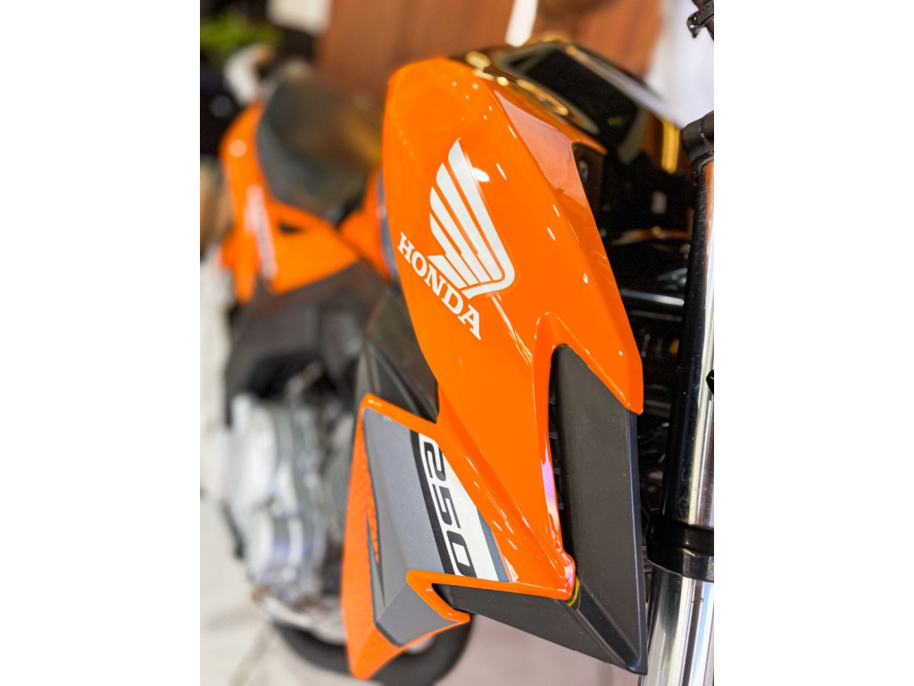 HONDA CB 250 F Twister FLEXONE