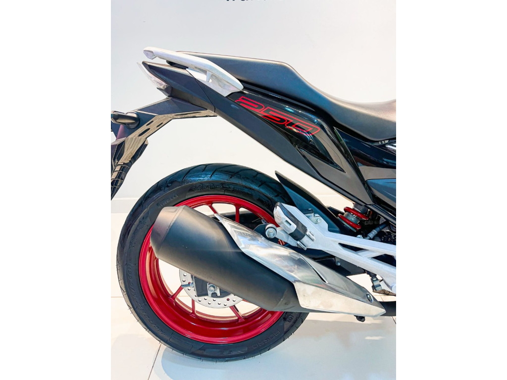 CB 250 F Twister FLEXONE