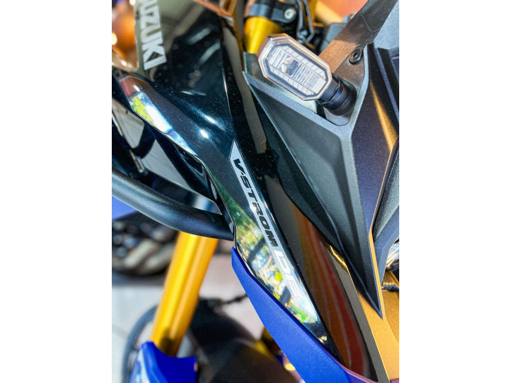 V-Strom 800 DE N/D