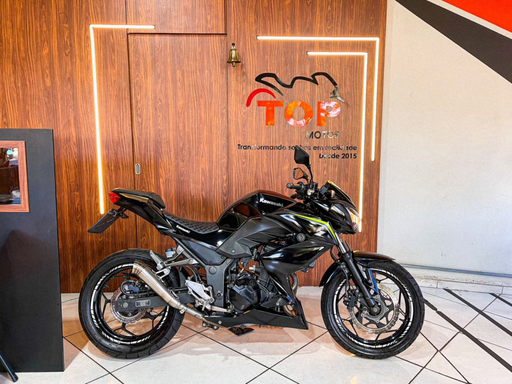 Z 300 ABS