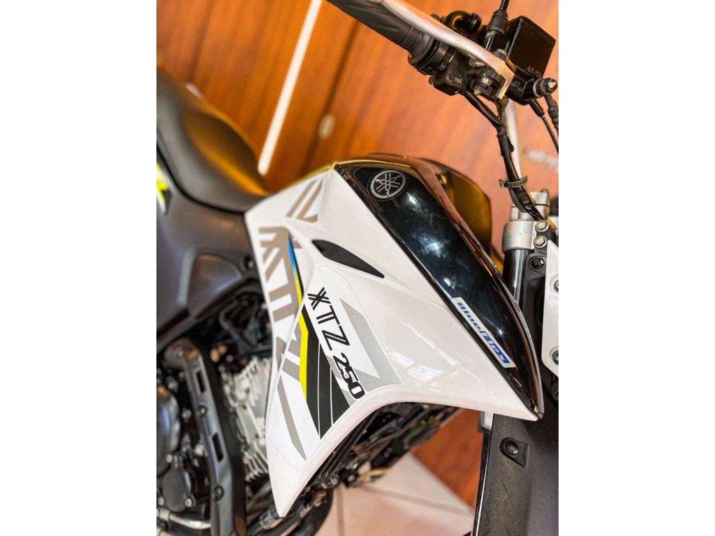 XTZ 250 LANDER