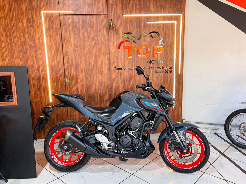 MT-03 300 ABS