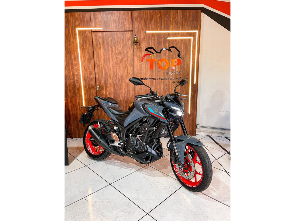 MT-03 300 ABS