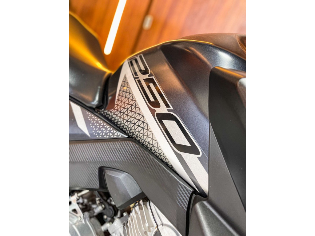 CB 250 F Twister FLEXONE