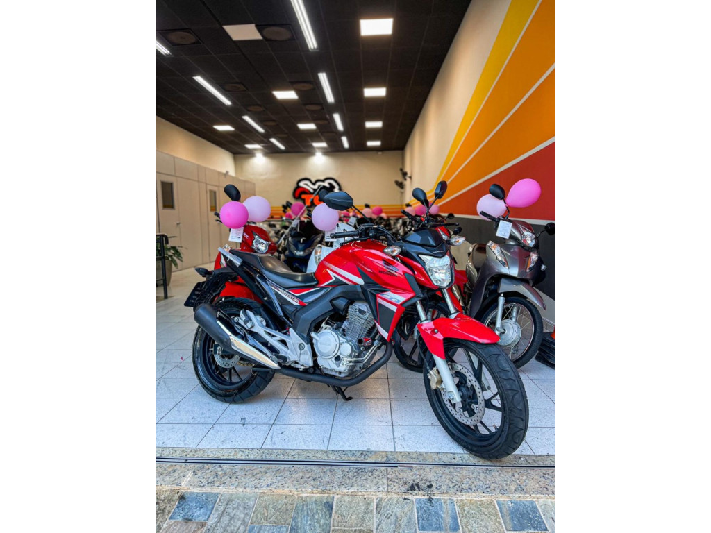 HONDA CB 250 F Twister FLEXONE