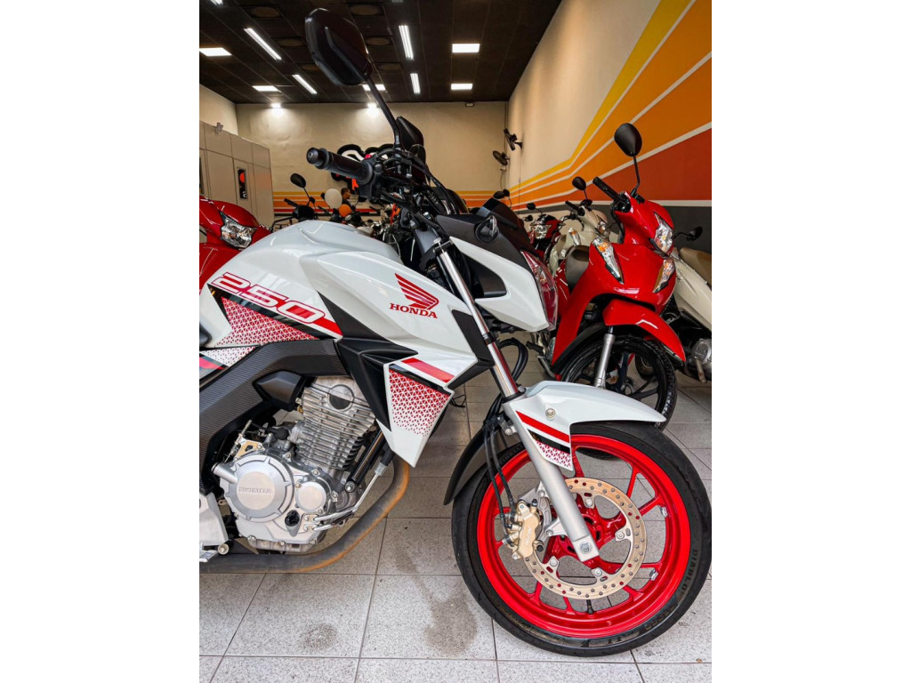 HONDA CB 250 F Twister FLEXONE