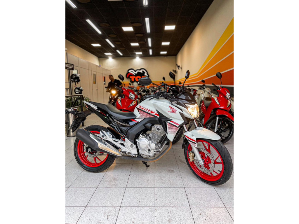 HONDA CB 250 F Twister FLEXONE