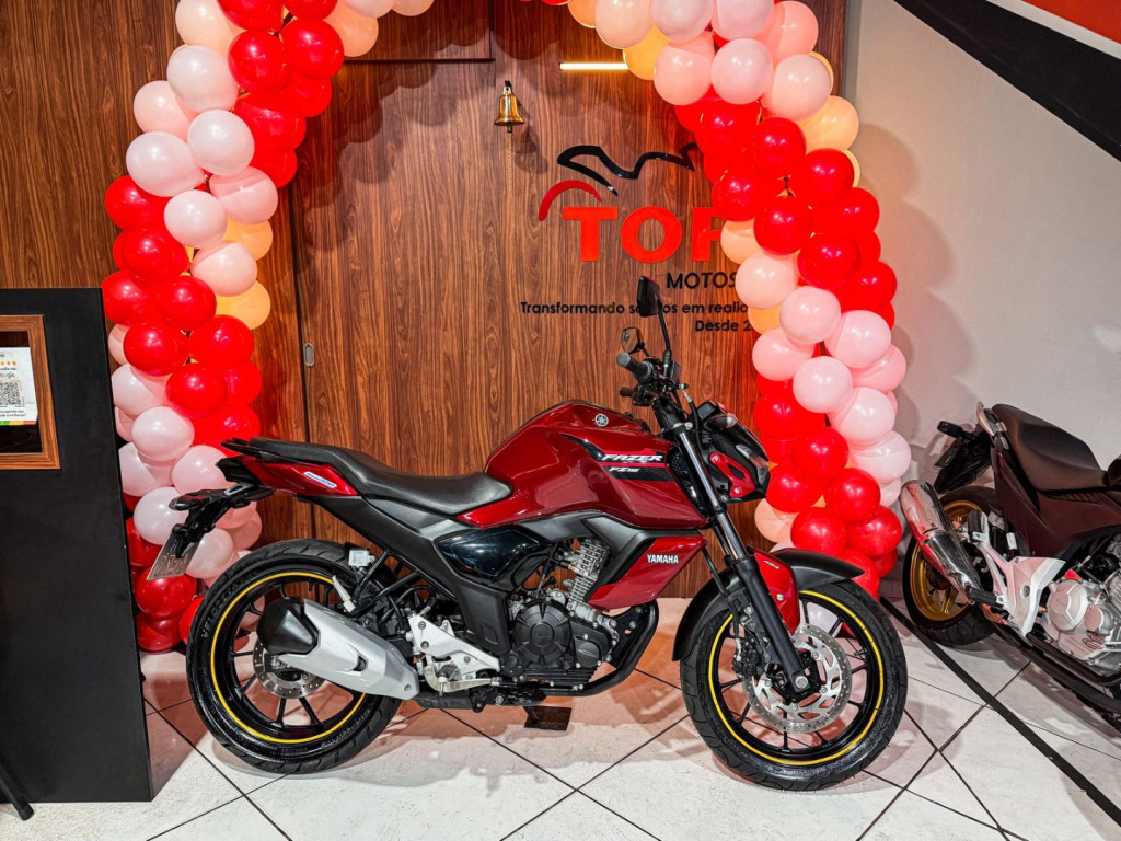 FZ 15 ABS