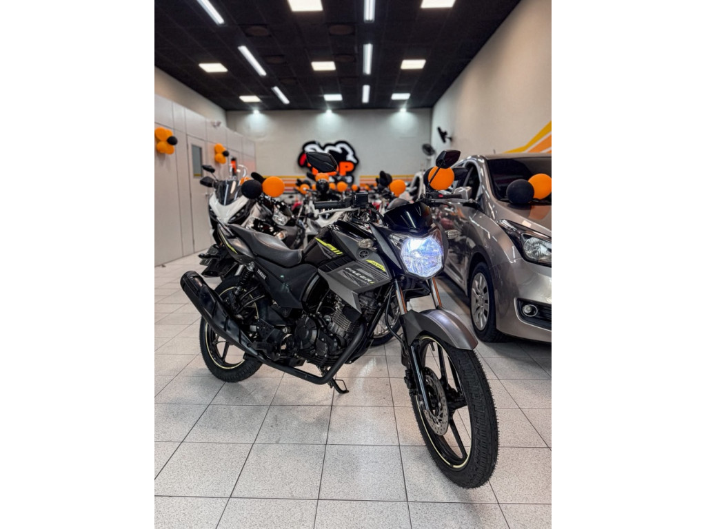 YAMAHA YS Fazer 150 BLUE FLEX