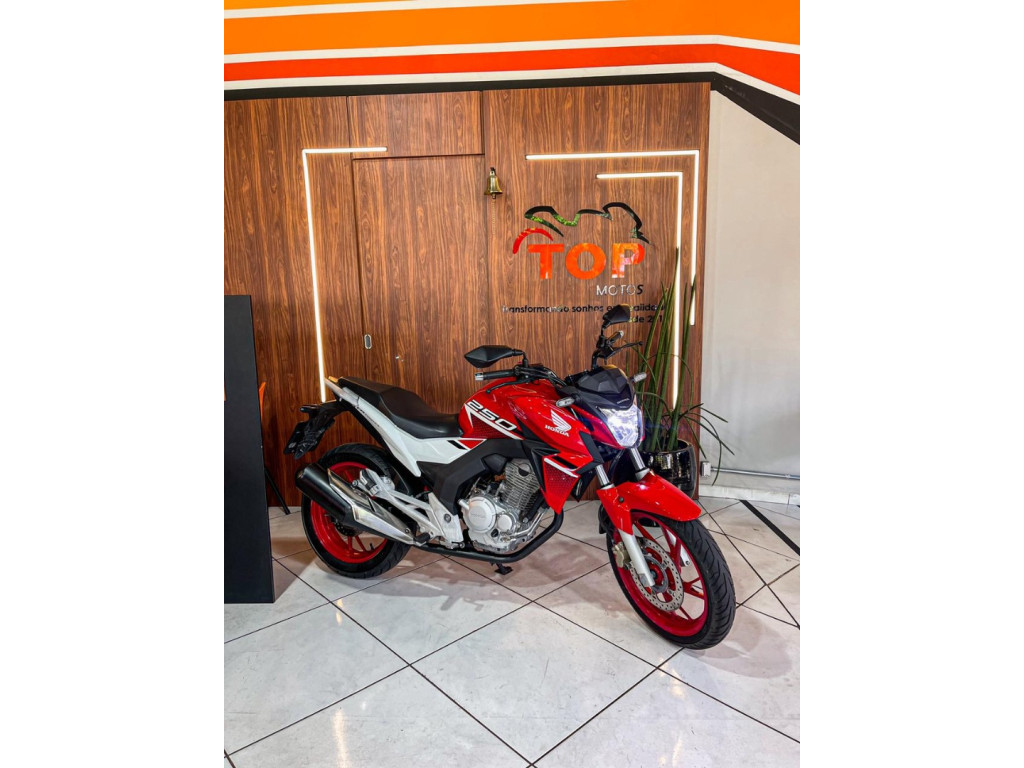 HONDA CB 250 F Twister FLEXONE