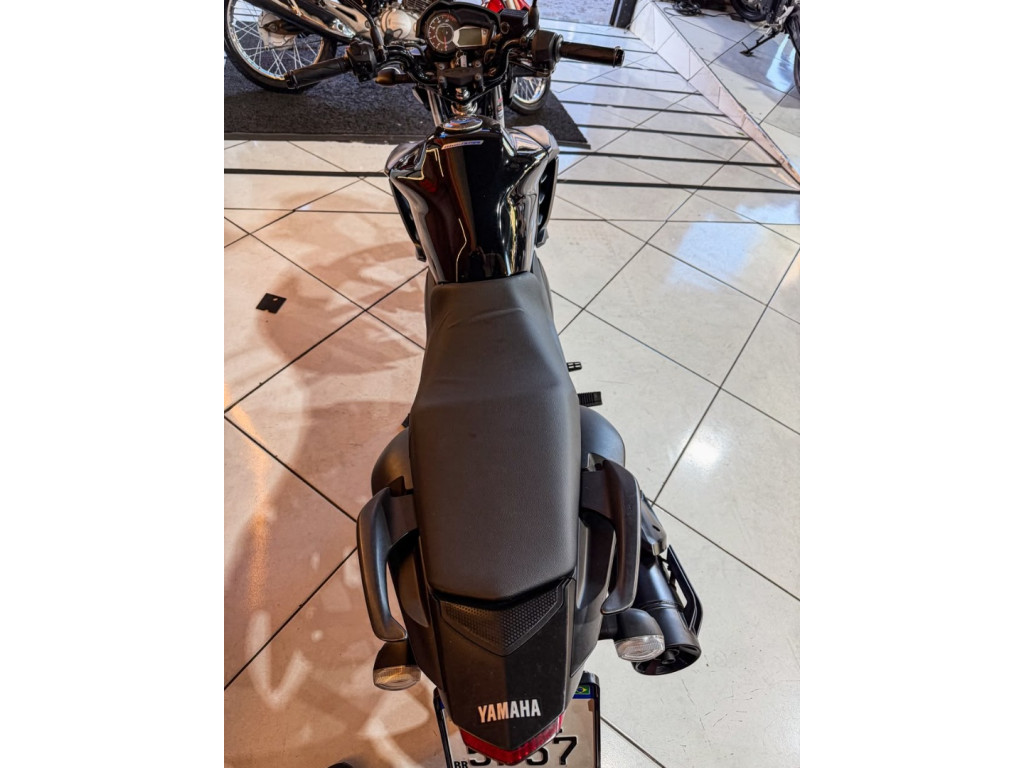 YAMAHA YS Fazer 150 BLUE FLEX