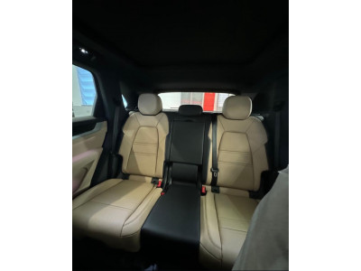 Cayenne 3.0 V6 32V 4P E-HYBRIDO PLATINUM EDITION AWD AUTOMÁTICO TIPTRONIC
