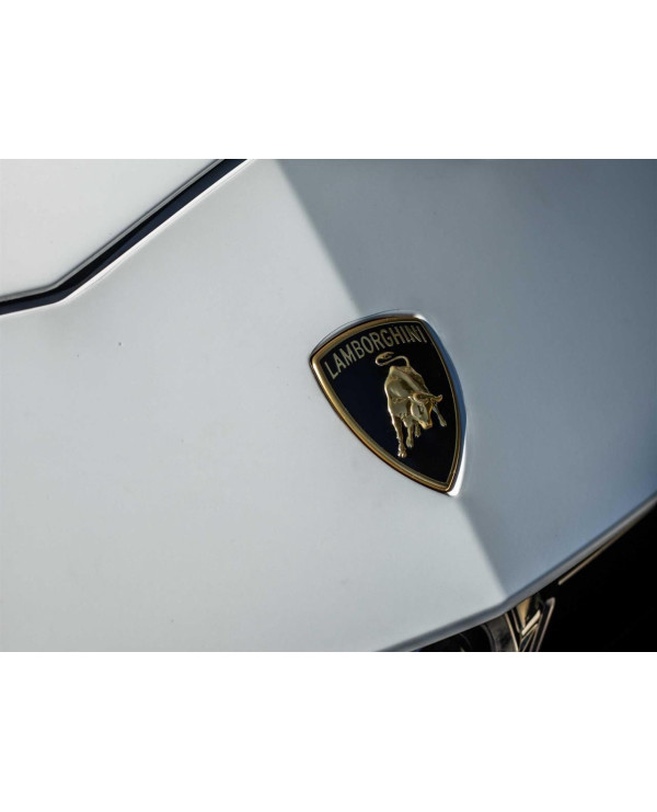 LAMBORGHINI Urus 4.0 V8 32V 4P TURBO S AUTOMÁTICO