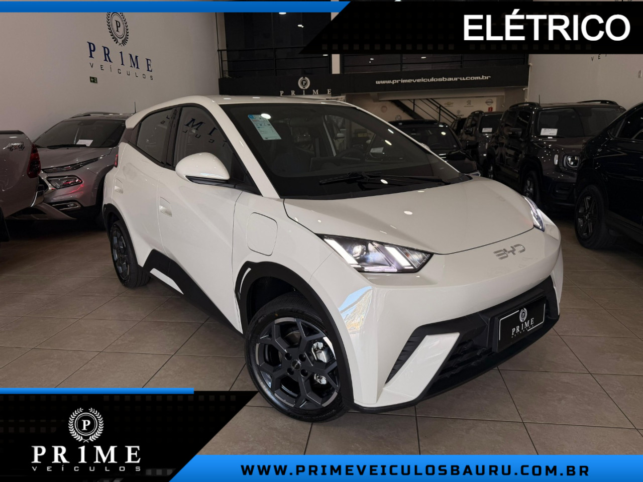 Dolphin Mini 38 KW ELÉTRICO