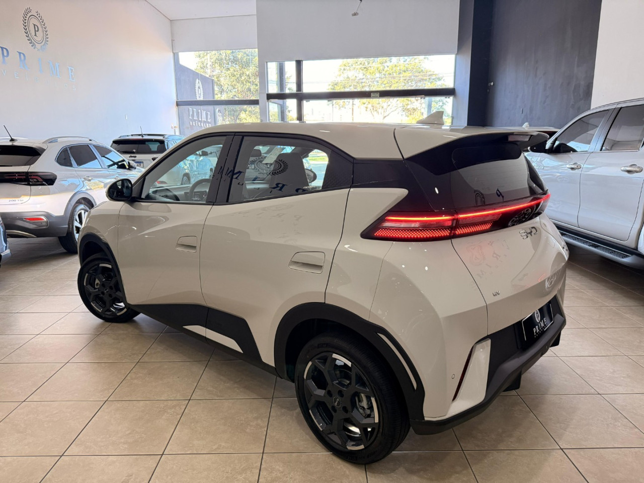 Dolphin Mini 38 KW ELÉTRICO