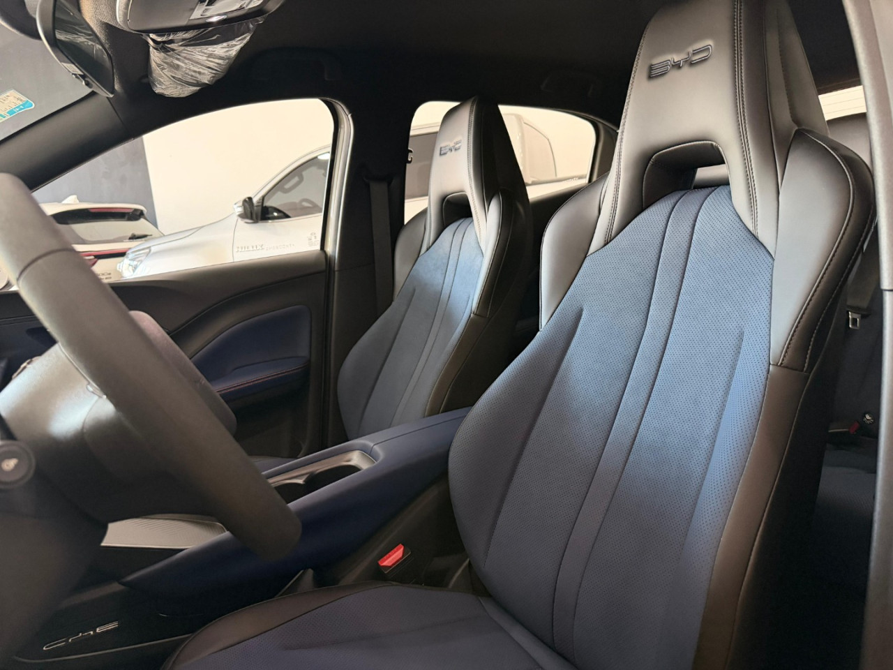 Dolphin Mini 38 KW ELÉTRICO