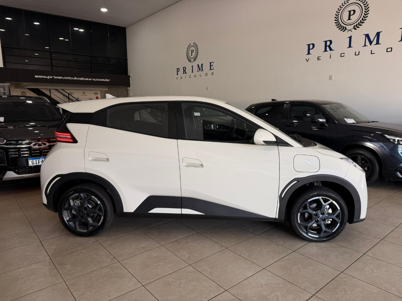 Dolphin Mini 38 KW ELÉTRICO