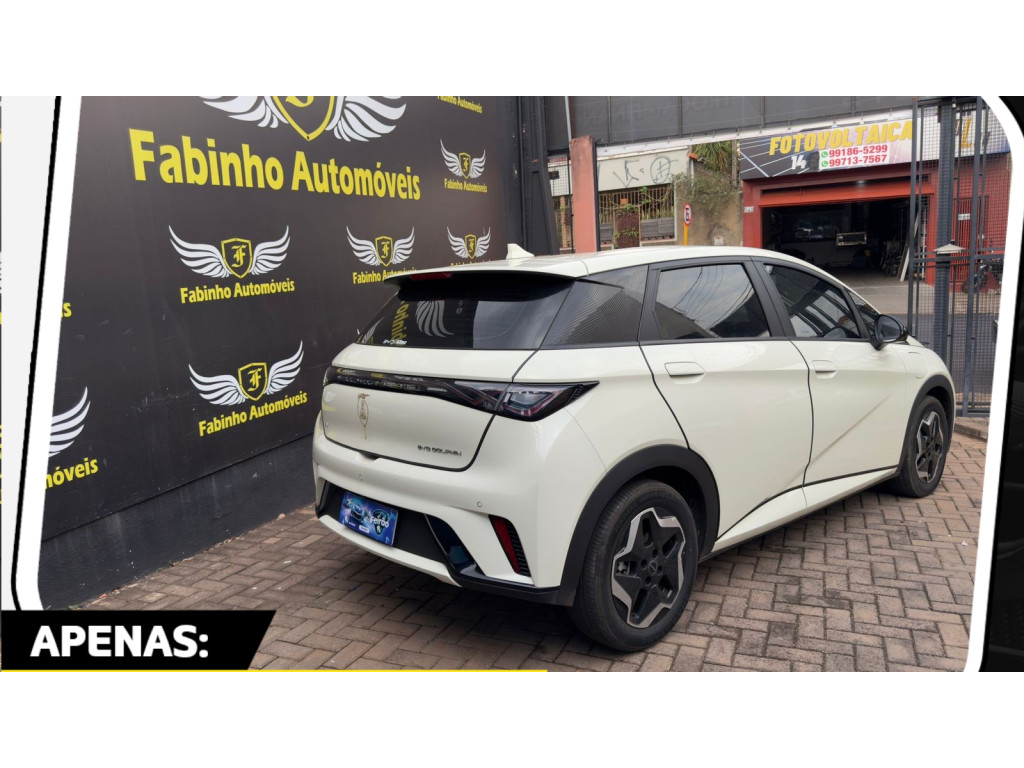 Dolphin 44,9 KW ELÉTRICO GS