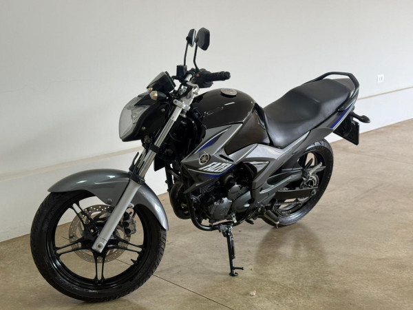 YS 250 FAZER/ FAZER L. EDITION /BLUEFLEX