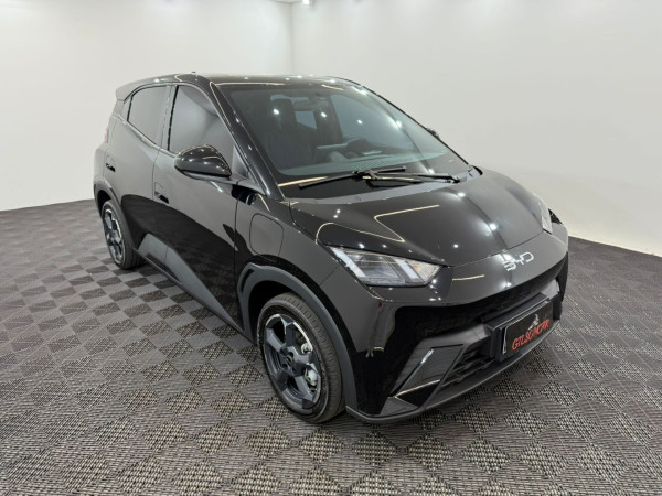 Dolphin Mini 38 KW ELÉTRICO