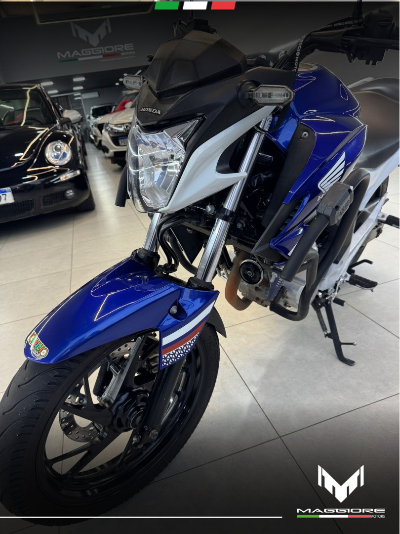 CB 250 F Twister FLEXONE