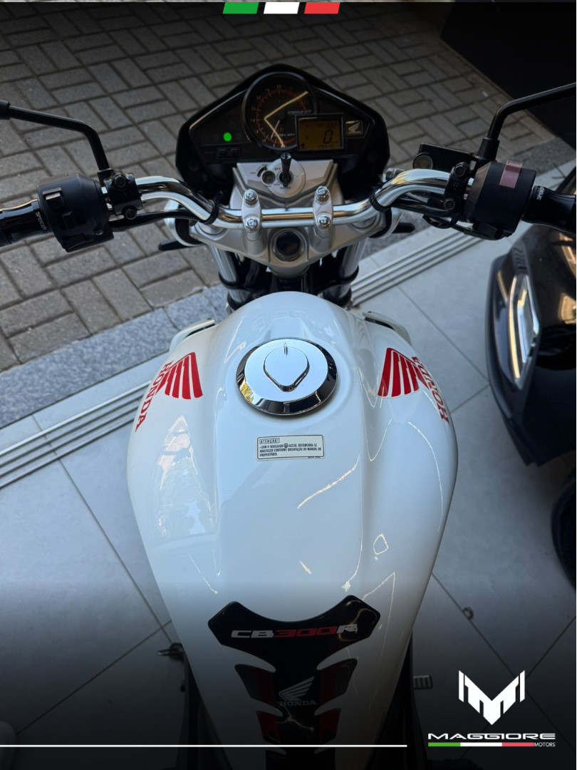 CB 300 R FLEX