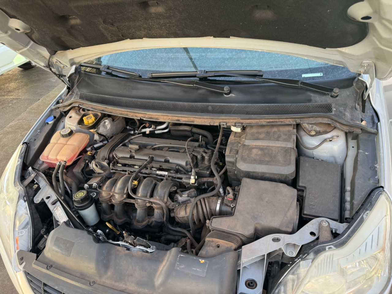 Focus Hatch 1.6 4P GLX