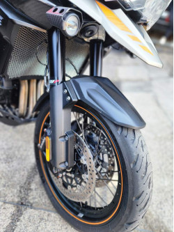 Tiger 1200 DESERT EDITION2