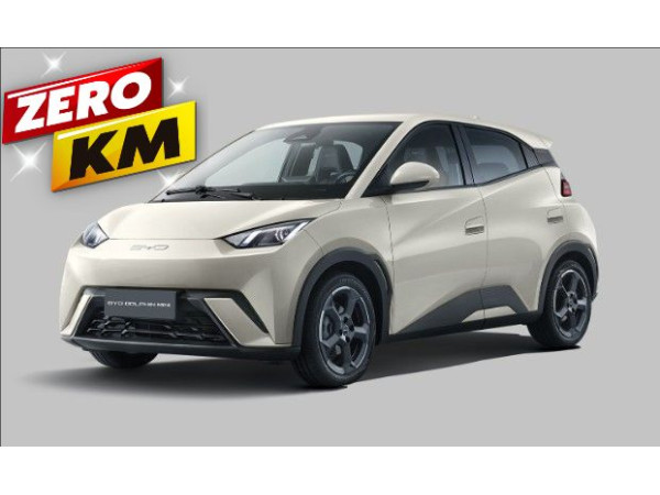 DOLPHIN MINI (ELéTRICO)