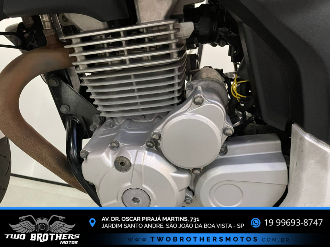CB 300 R STD