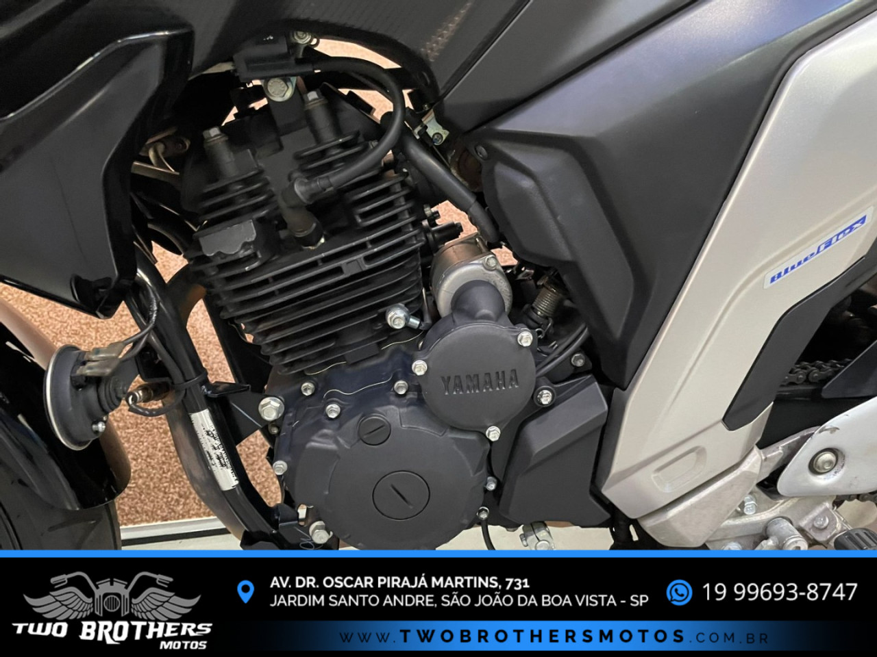 YAMAHA FZ 25 250 Fazer Flex N/D