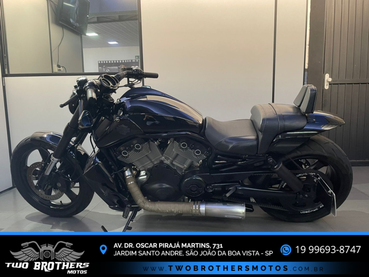 V-Rod 1250 MUSCLE