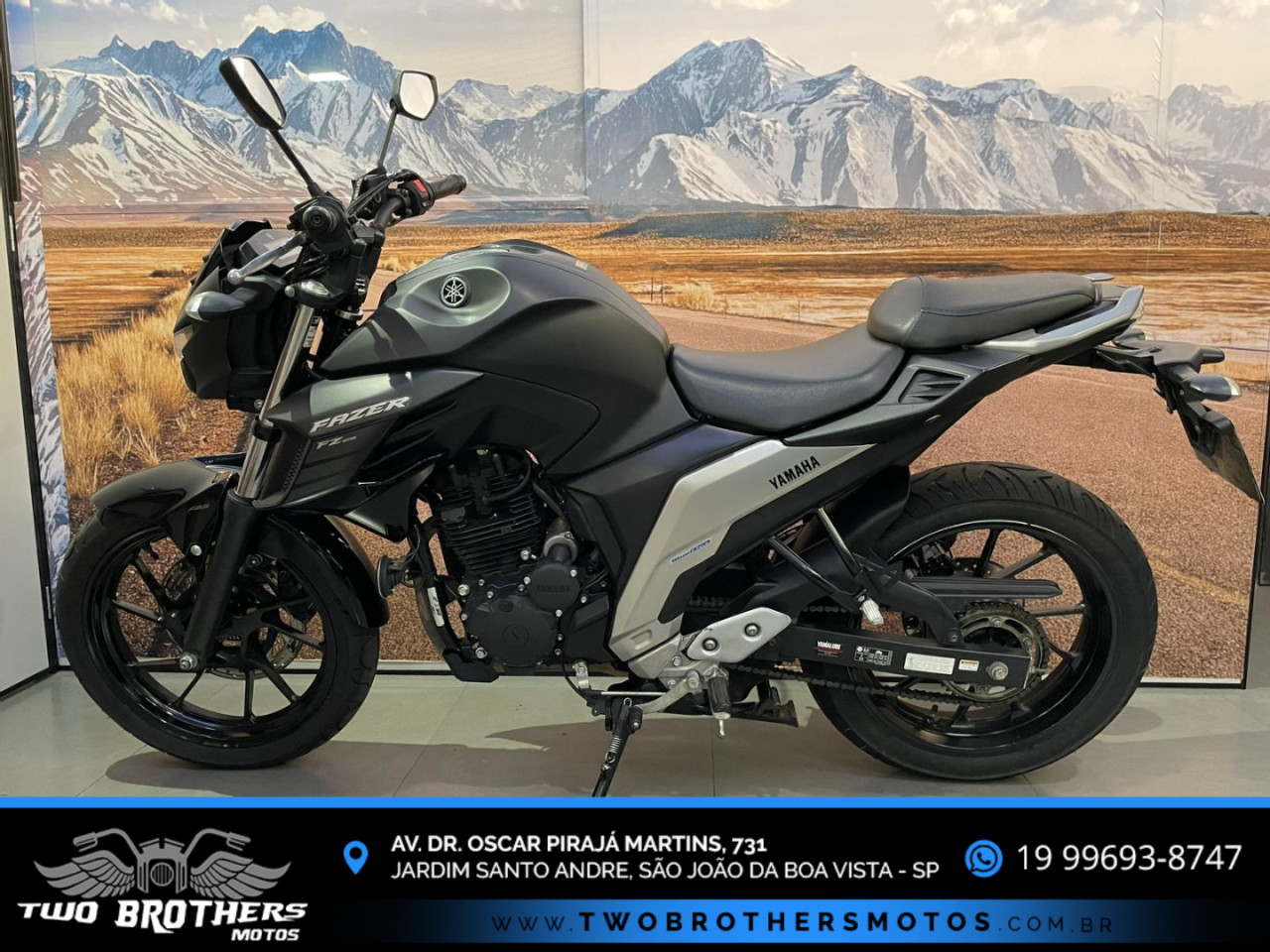 YAMAHA FZ 25 250 Fazer Flex N/D