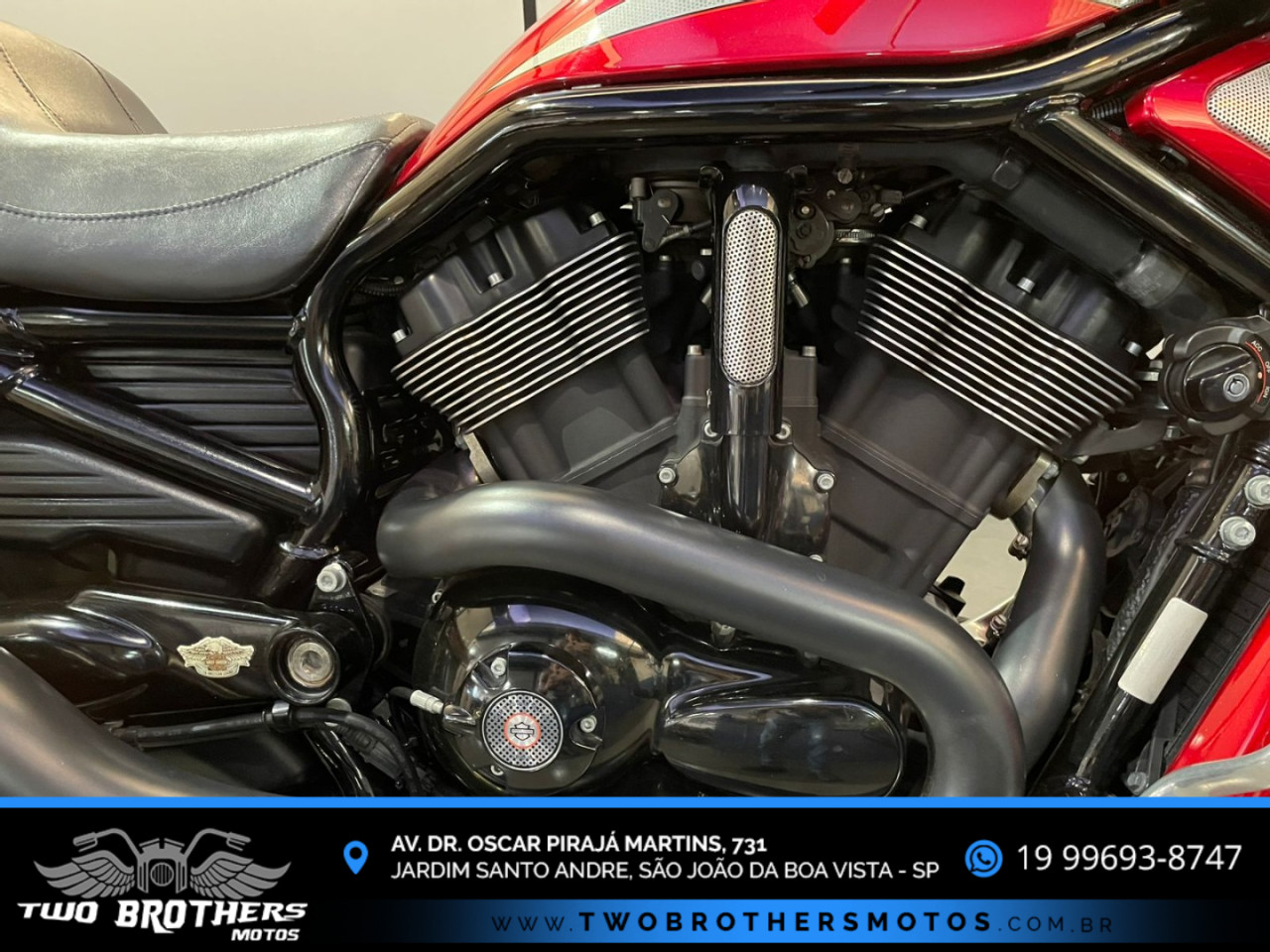 V-Rod 1250 MUSCLE