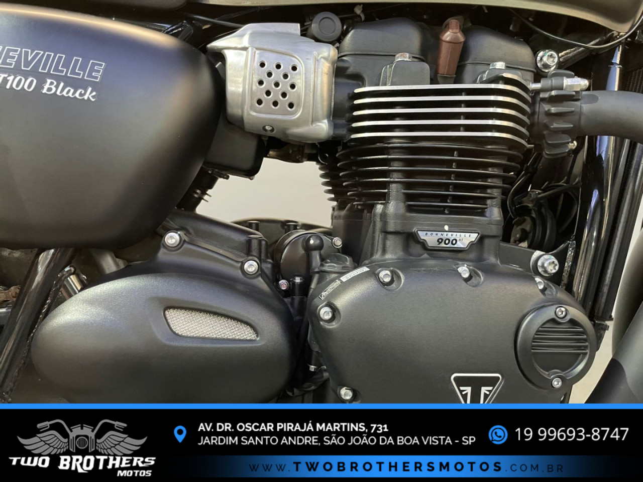 Bonneville T100 900 Modelo sem Versão