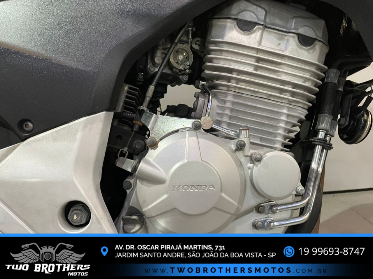 CB 300 R STD