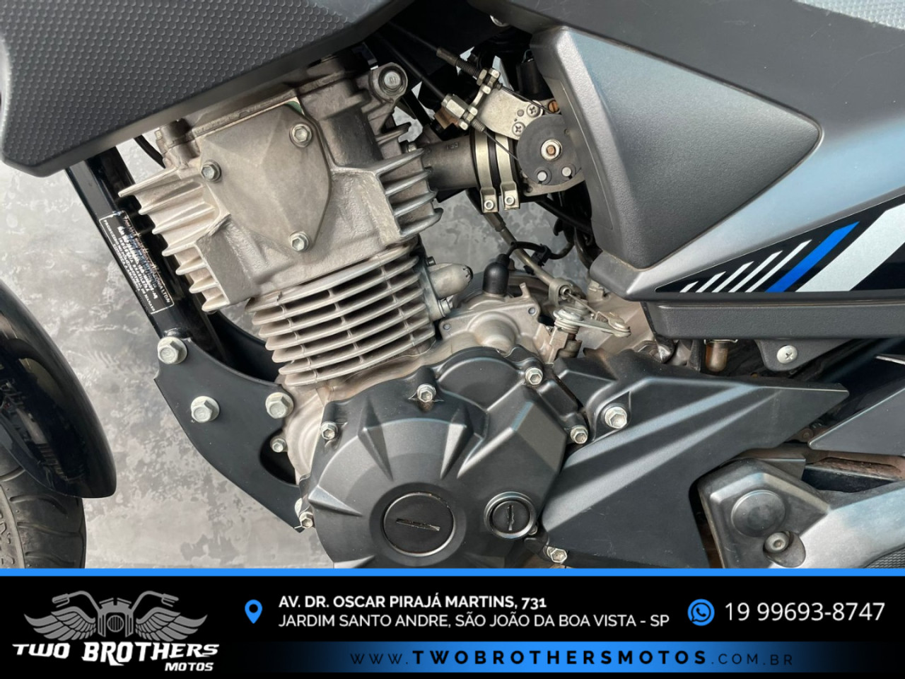 YAMAHA YBR 150 FACTOR ED FLEX