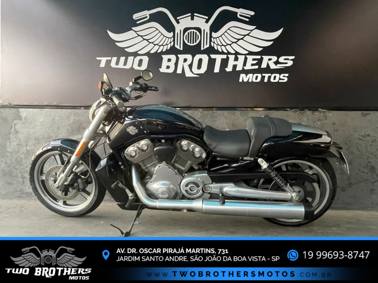 HARLEY DAVIDSON V-Rod 1250 MUSCLE