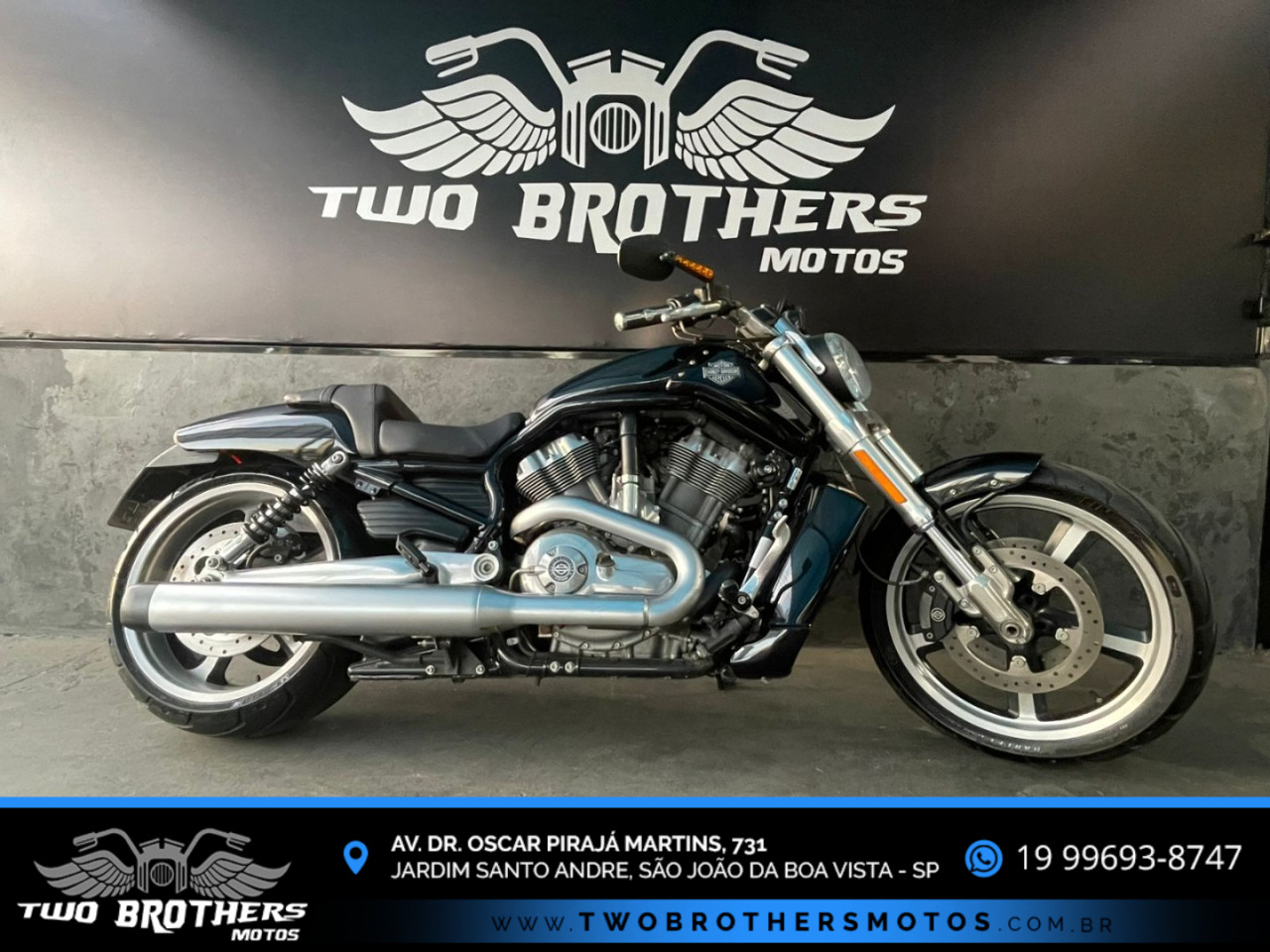 V-Rod 1250 MUSCLE