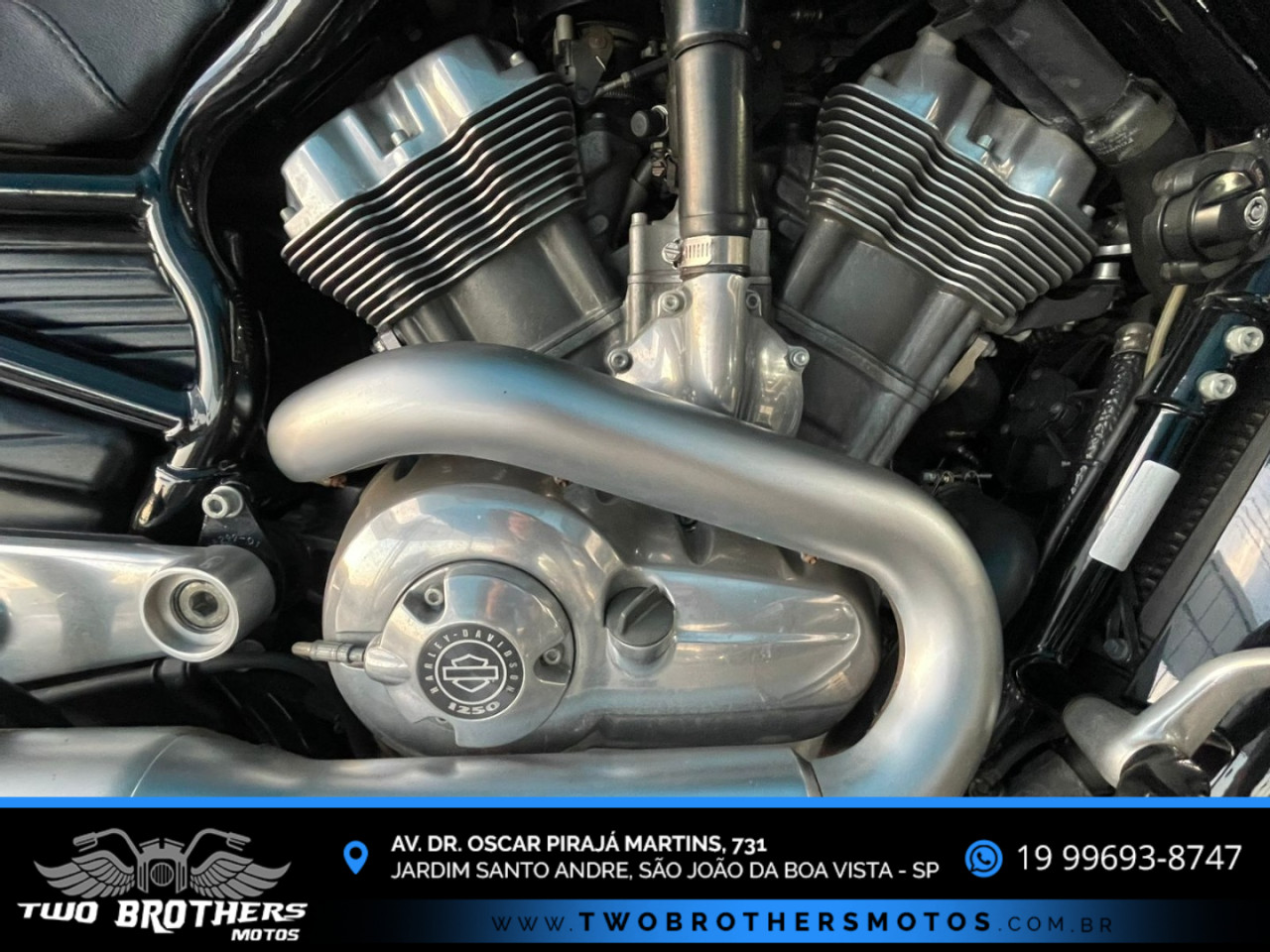 HARLEY DAVIDSON V-Rod 1250 MUSCLE