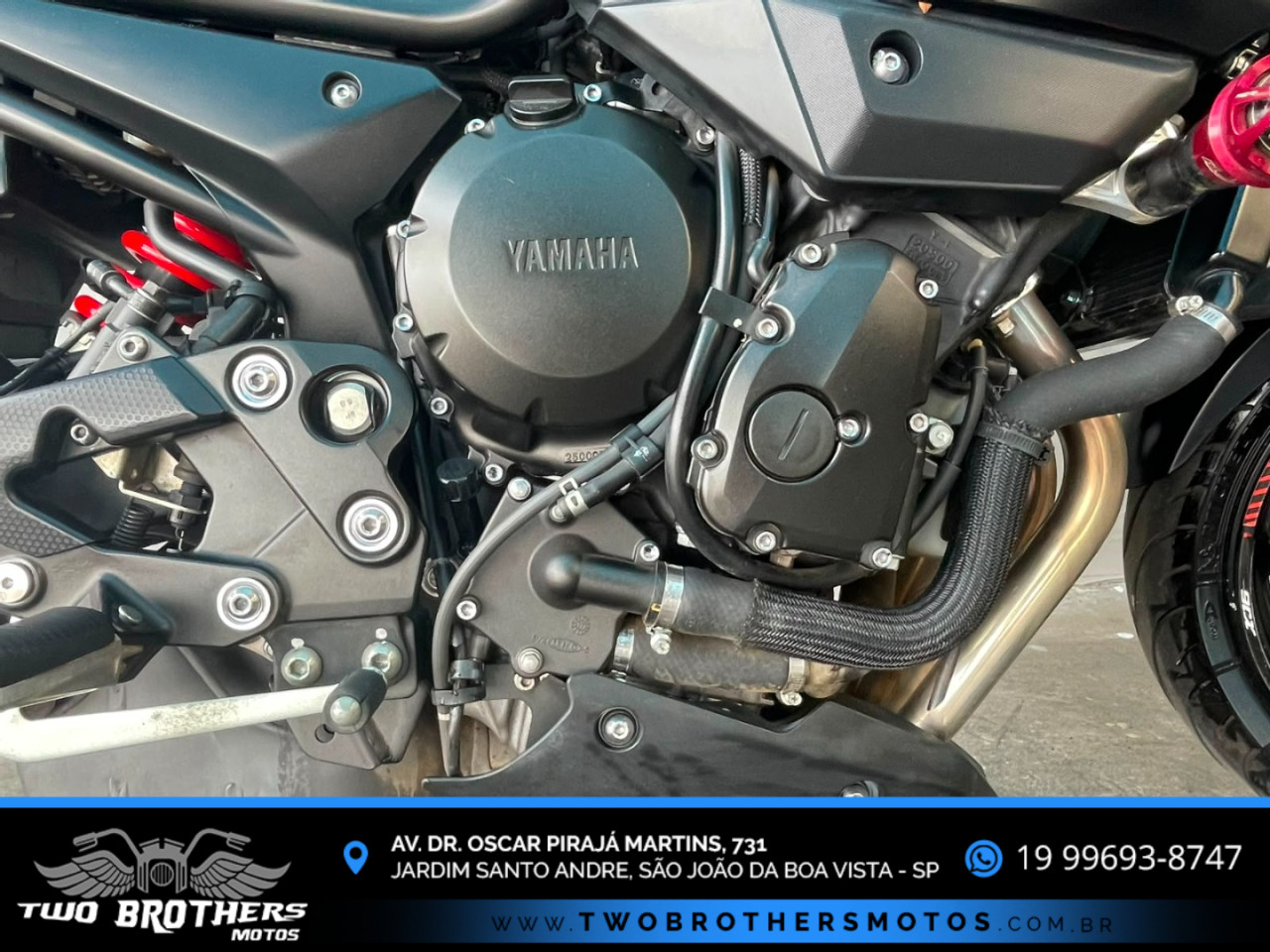 YAMAHA XJ6 600 N