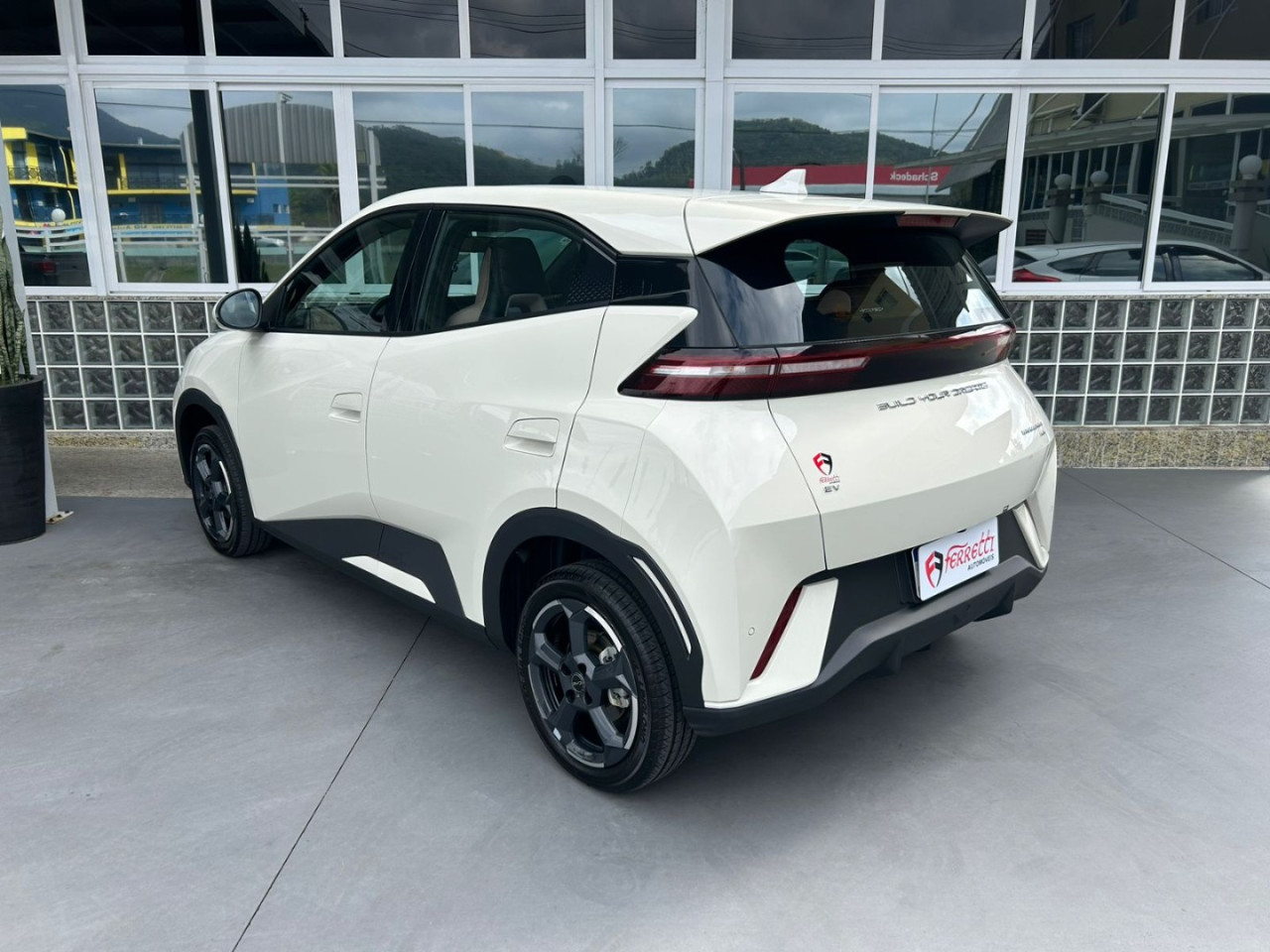 Dolphin Mini 38 KW ELÉTRICO