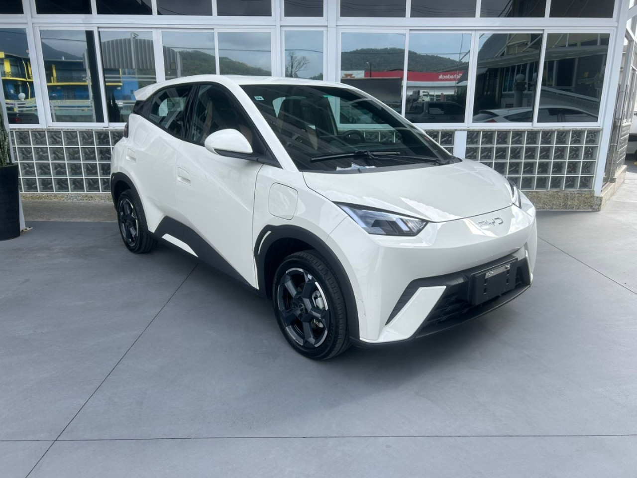 Dolphin Mini 38 KW ELÉTRICO
