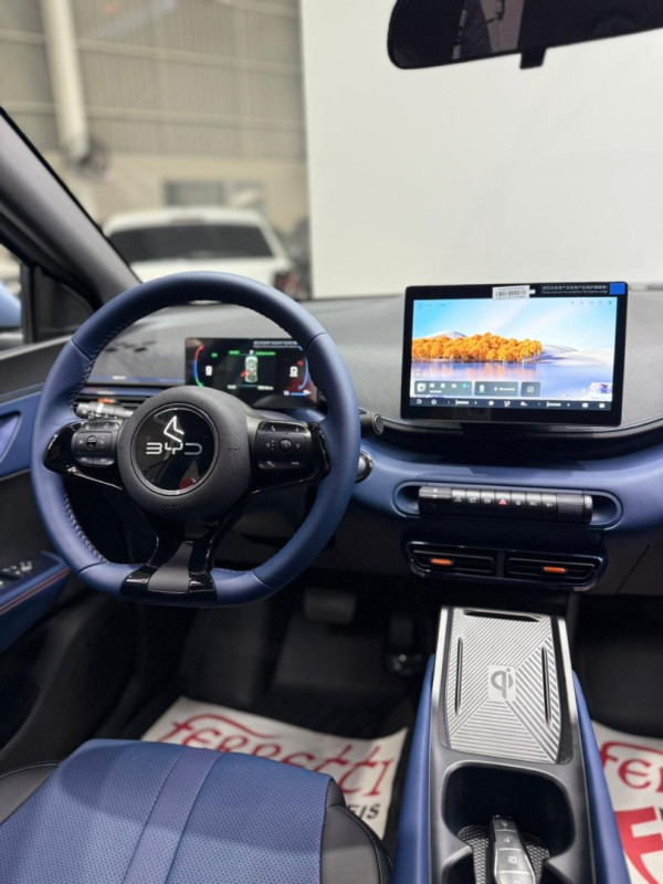 BYD Dolphin Mini 38 KW ELÉTRICO GS