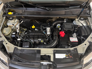 Stepway 1.0 12V 4P FLEX SCE ZEN