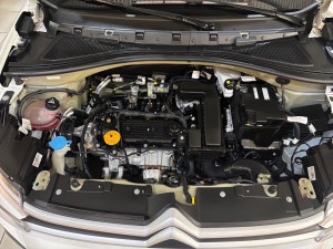 C3 1.0 12V 4P FLEX FIREFLEY LIVE